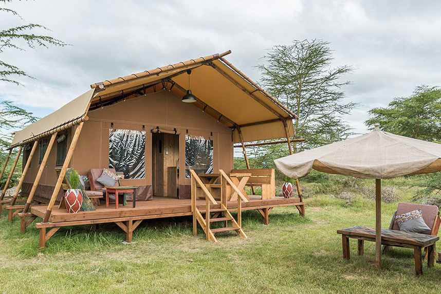 Luxury safari