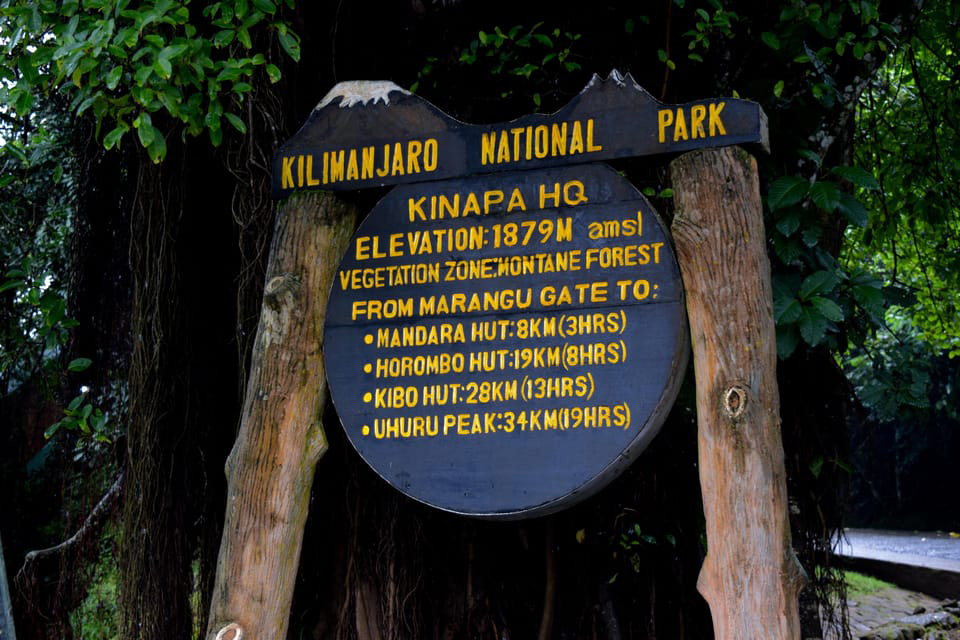 Balloon Safari in Tanzania