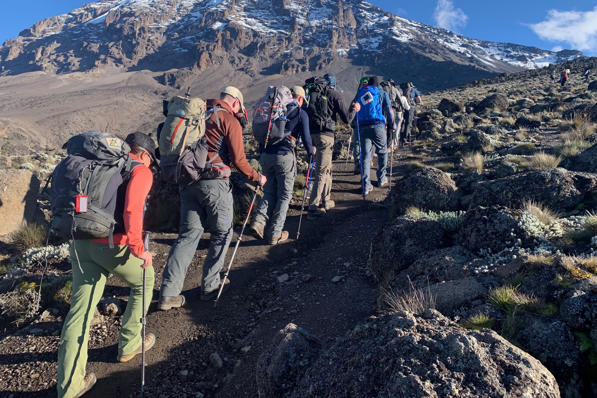 Group Joining Safari