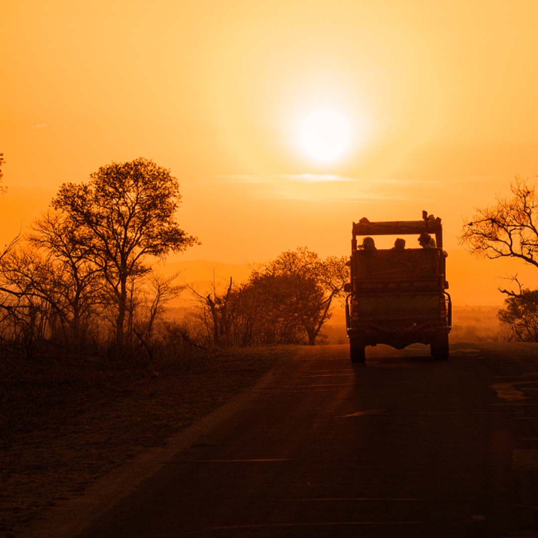 Tanzania Safari Budgeting