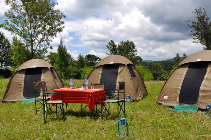 Camping safari
