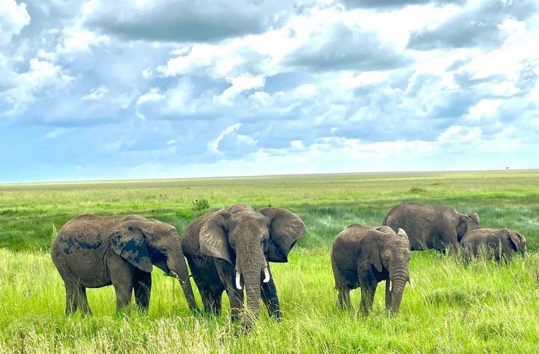 Tarangire National Park