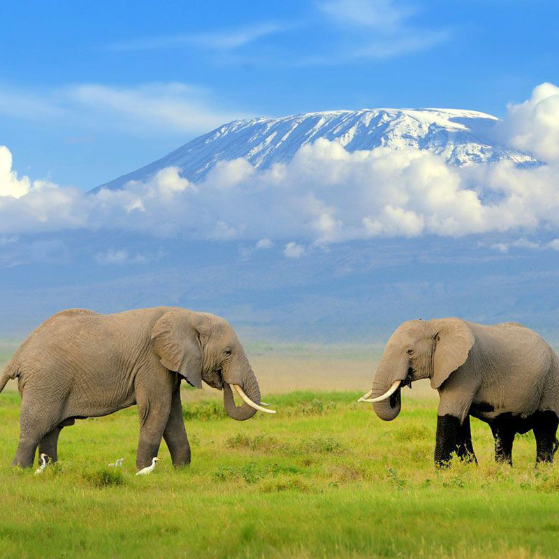 Kenya & Tanzania