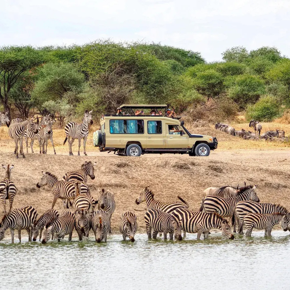 Best national park