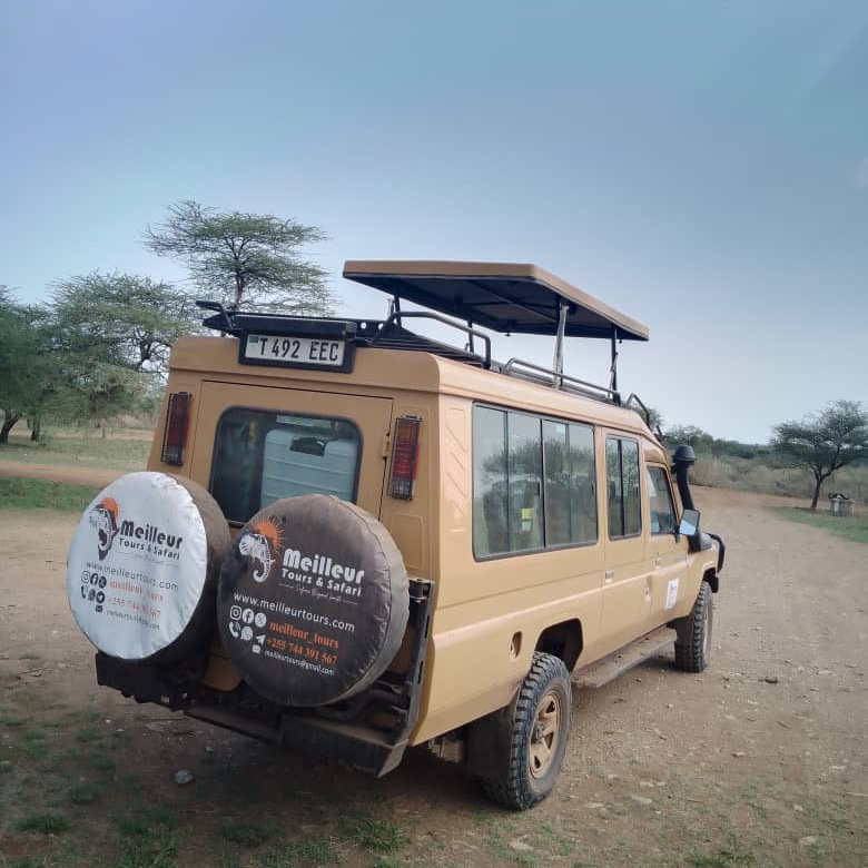 Safari Vehicle