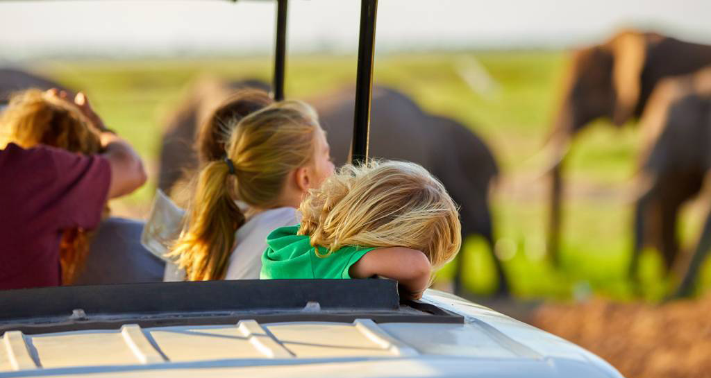  7 days safari