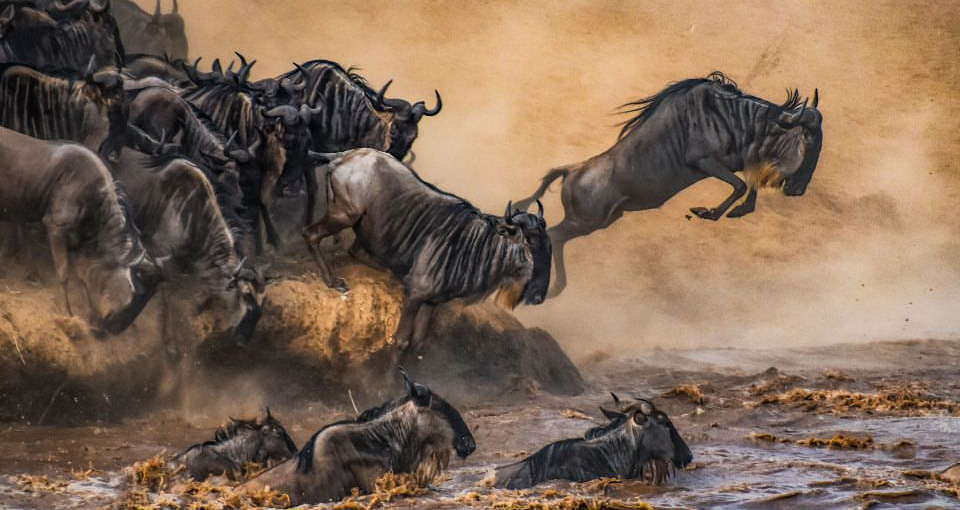  3 days safari