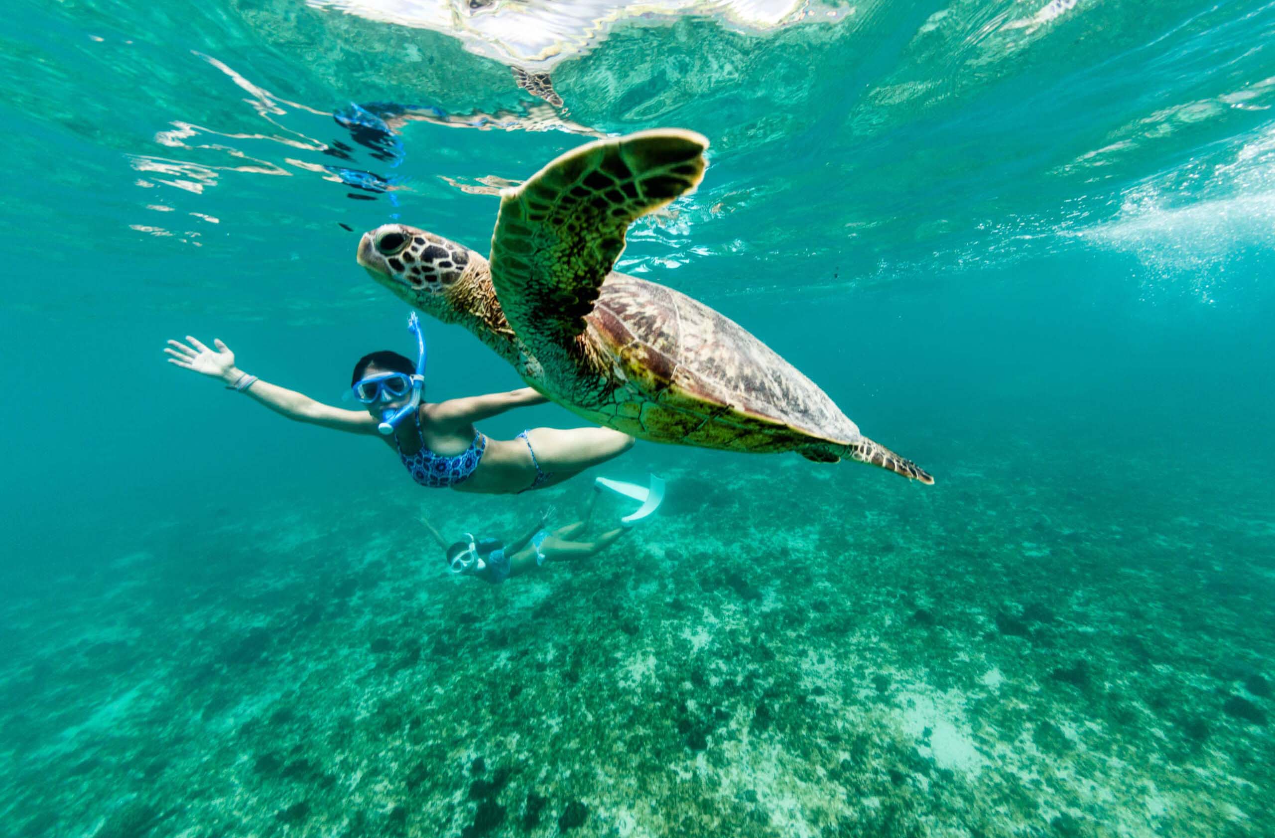 zanzibar beach safari